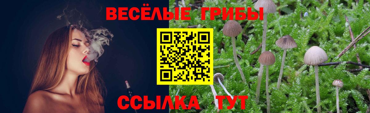 Черкесск  Псилоцибиновые грибы Psilocybine cubensis  Вход с VPN 